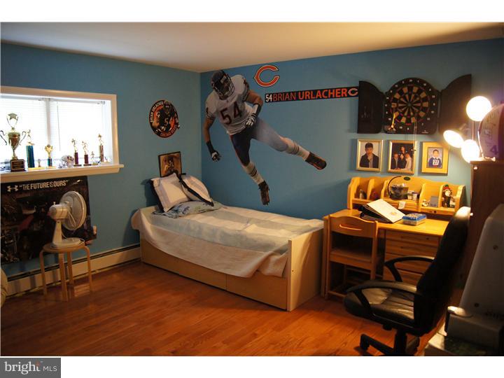 250 Leopard Road Berwyn, PA 19312 - Photo 18 of 24 Bedroom 3