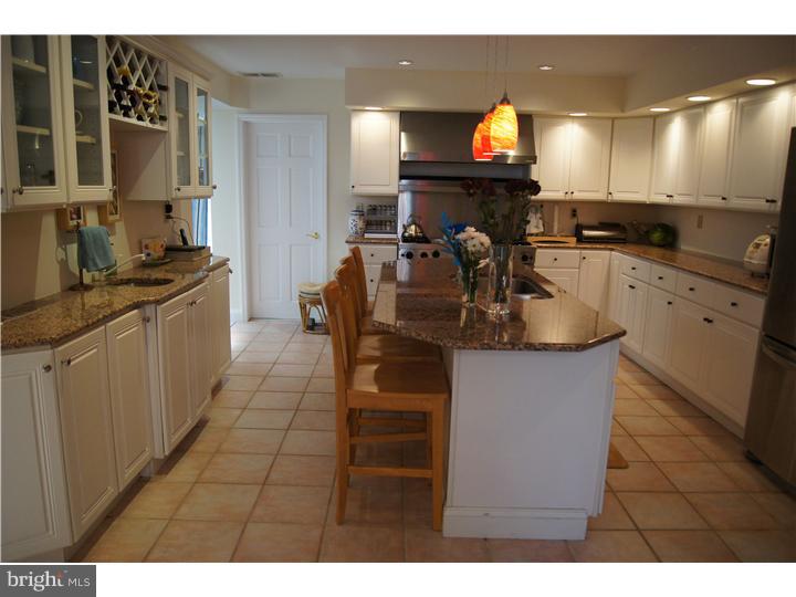 250 Leopard Road Berwyn, PA 19312 - Photo 3 of 24 Kitchen