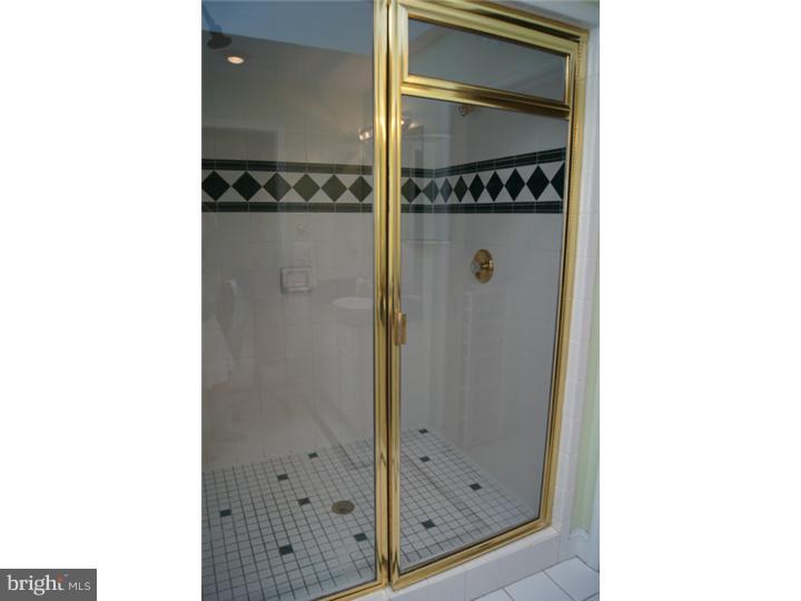 250 Leopard Road Berwyn, PA 19312 - Photo 23 of 24 Master Bathroom