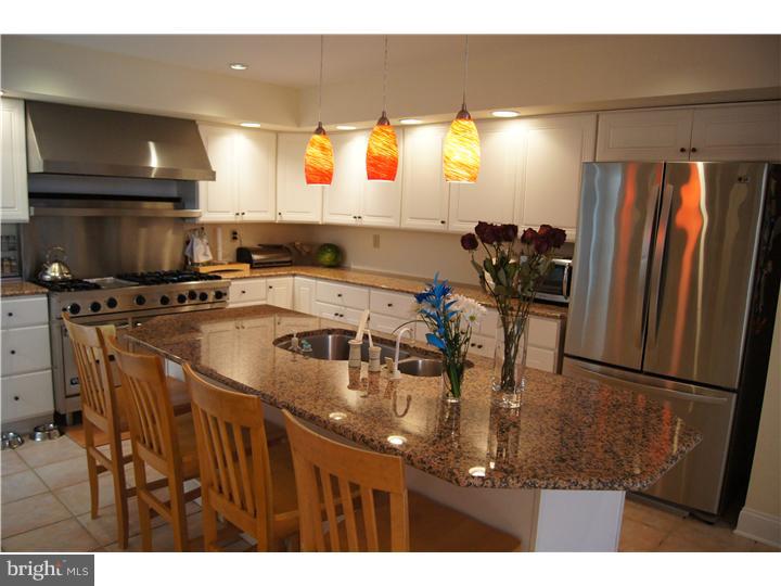 250 Leopard Road Berwyn, PA 19312 - Photo 4 of 24 Kitchen