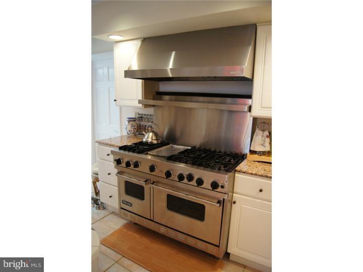 250 Leopard Road Berwyn, PA 19312 - Photo 5 of 24 Kitchen