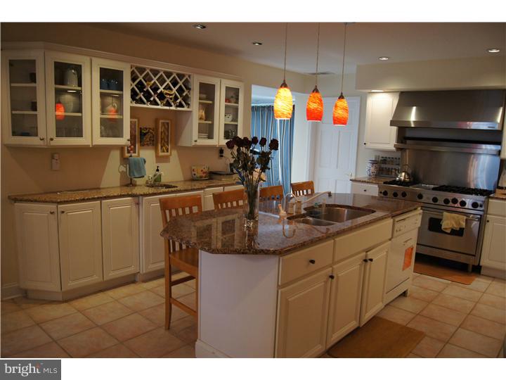 250 Leopard Road Berwyn, PA 19312 - Photo 6 of 24 Kitchen