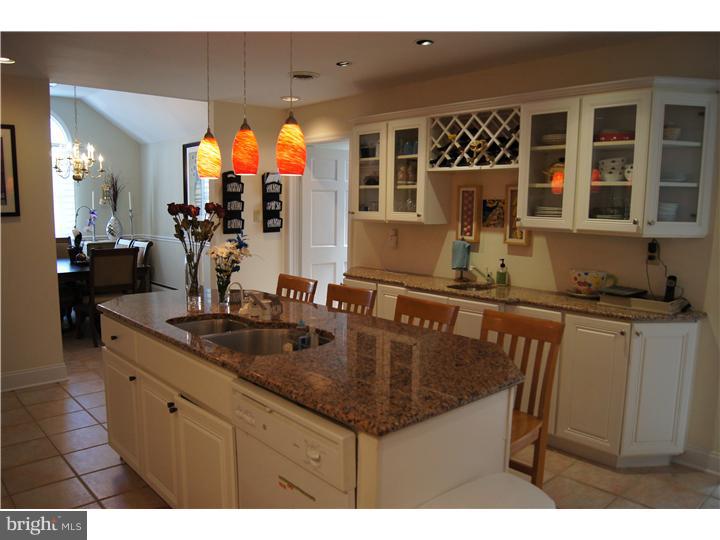 250 Leopard Road Berwyn, PA 19312 - Photo 7 of 24 Kitchen