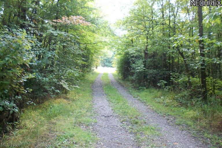 12315 Williams Road Homerville, OH 44235 - Photo 1 of 8 Down a long drive...your dreams take shape