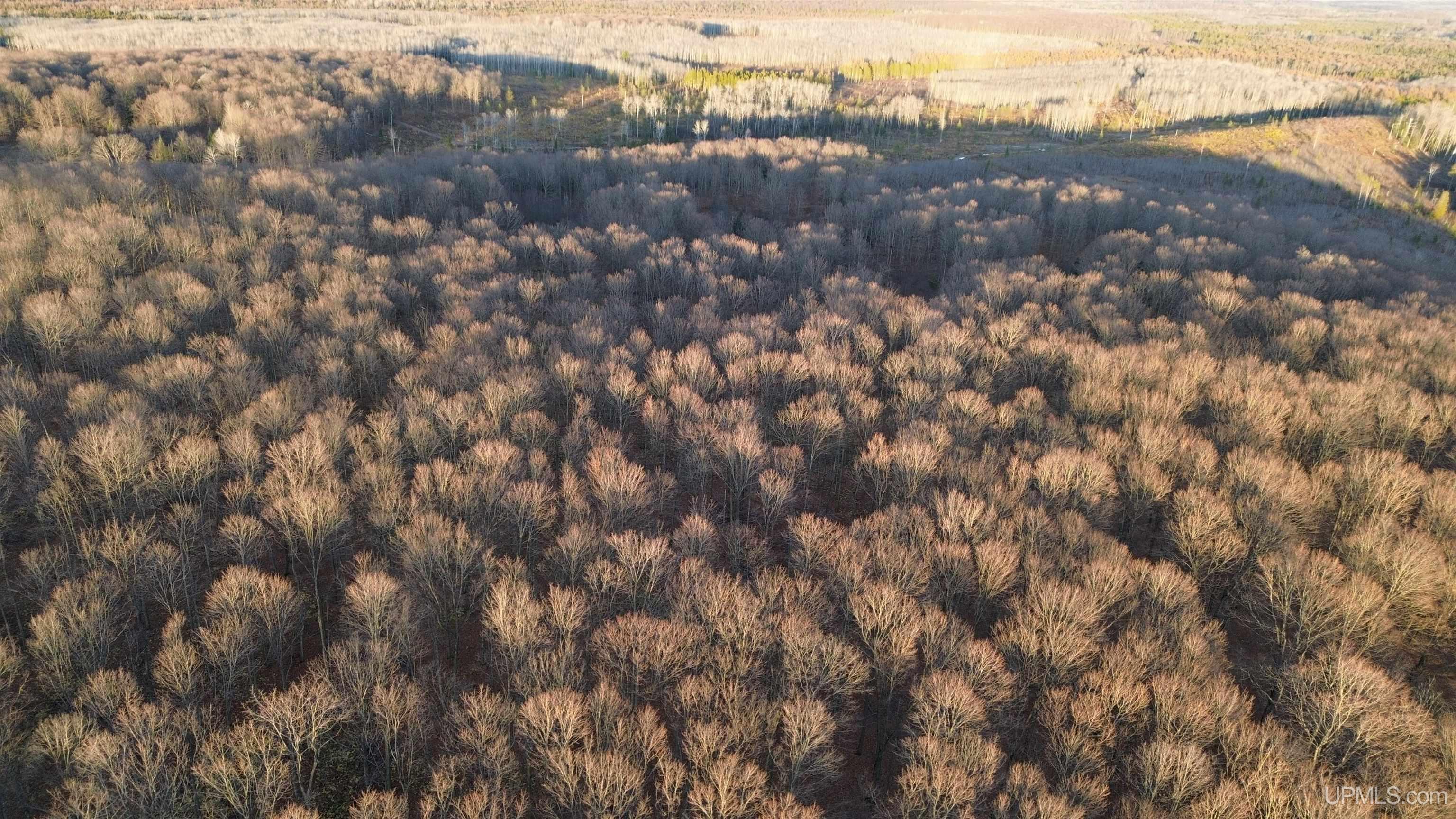 M26 M 5 Road Felch, MI 49831 - Photo 1 of 12