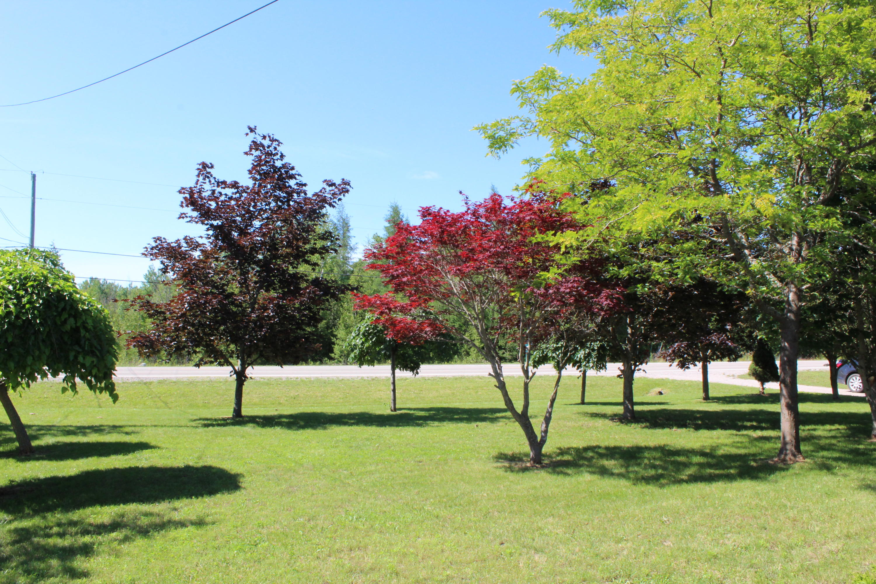 2128 East Lacomb Road Alpena, MI 49707 - Photo 20 of 26 Gallery Image 20