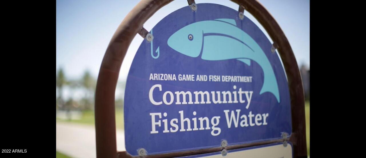 315 North Dobson Road Mesa, AZ 85201 - Photo 27 of 33 Area amenities