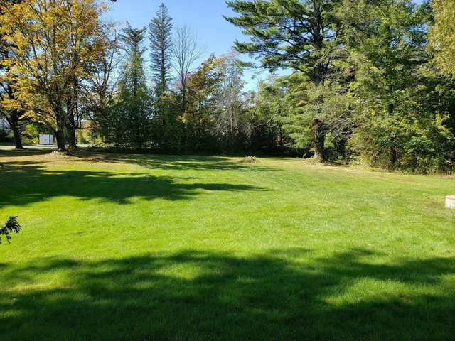 a view of a trees in a yard