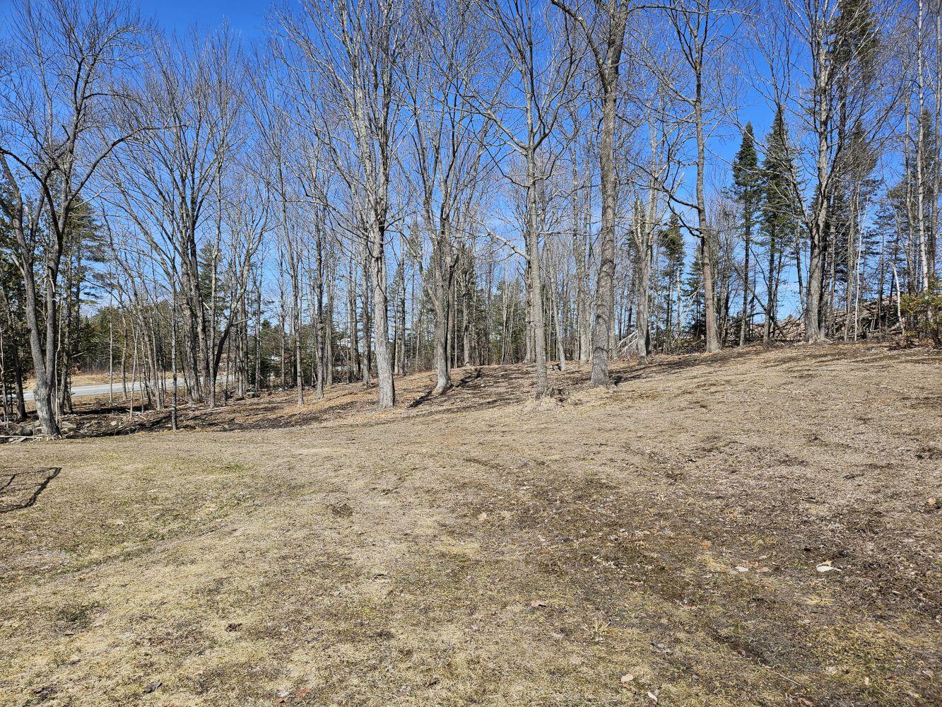 97 Harmony Road Athens, ME 04912 - Photo 44 of 46 20250410_130113