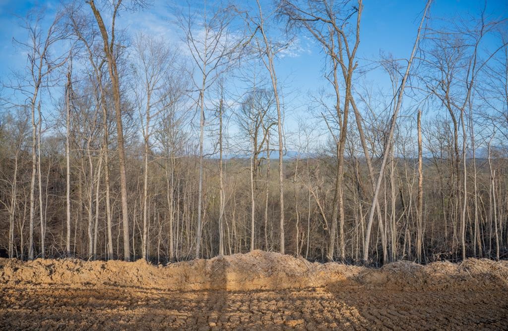 166 Reedmont Way Sevierville, TN 37876 - Photo 1 of 9 Gallery Image 1