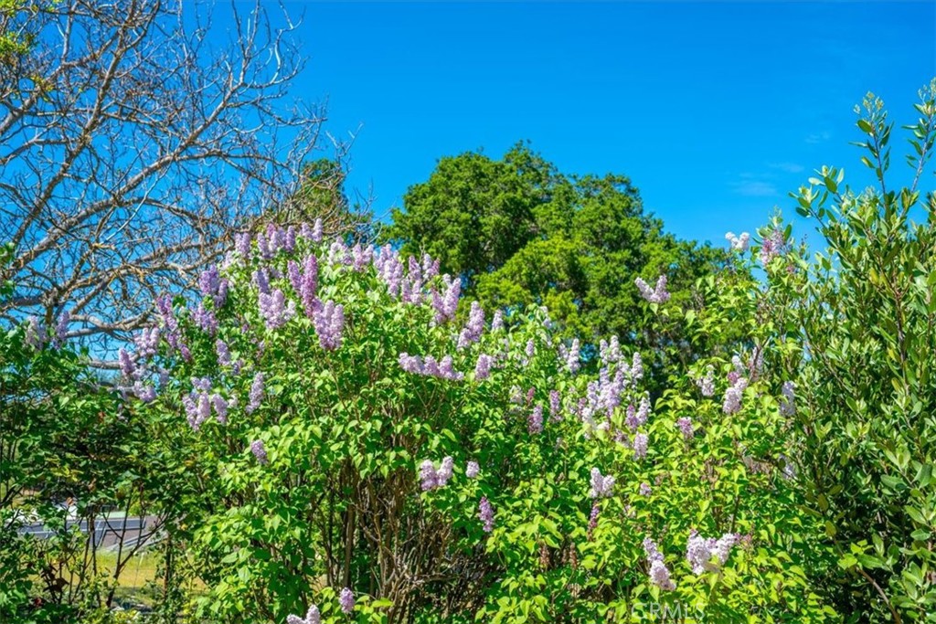 3956 Maricopa Road Atascadero, CA 93422 - Photo 43 of 54