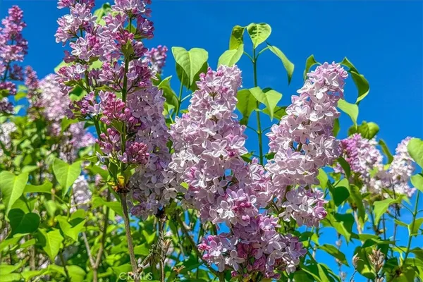 $725,000 | 3956 Maricopa Road, Atascadero, CA 93422