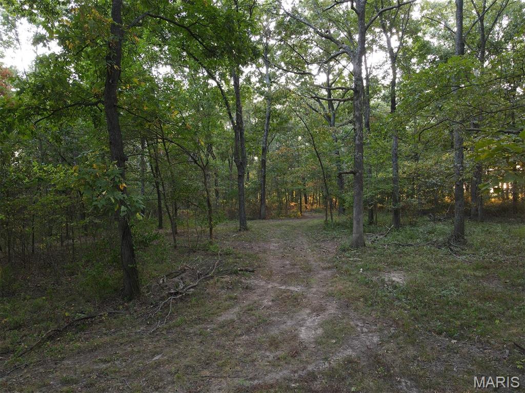 6548 Jimtown Road Oakdale, IL 62268 - Photo 70 of 70