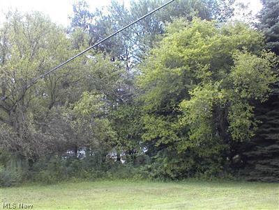 4480 Messerly Road Canfield, OH 44406 - Photo 1 of 1 Gallery Image 1