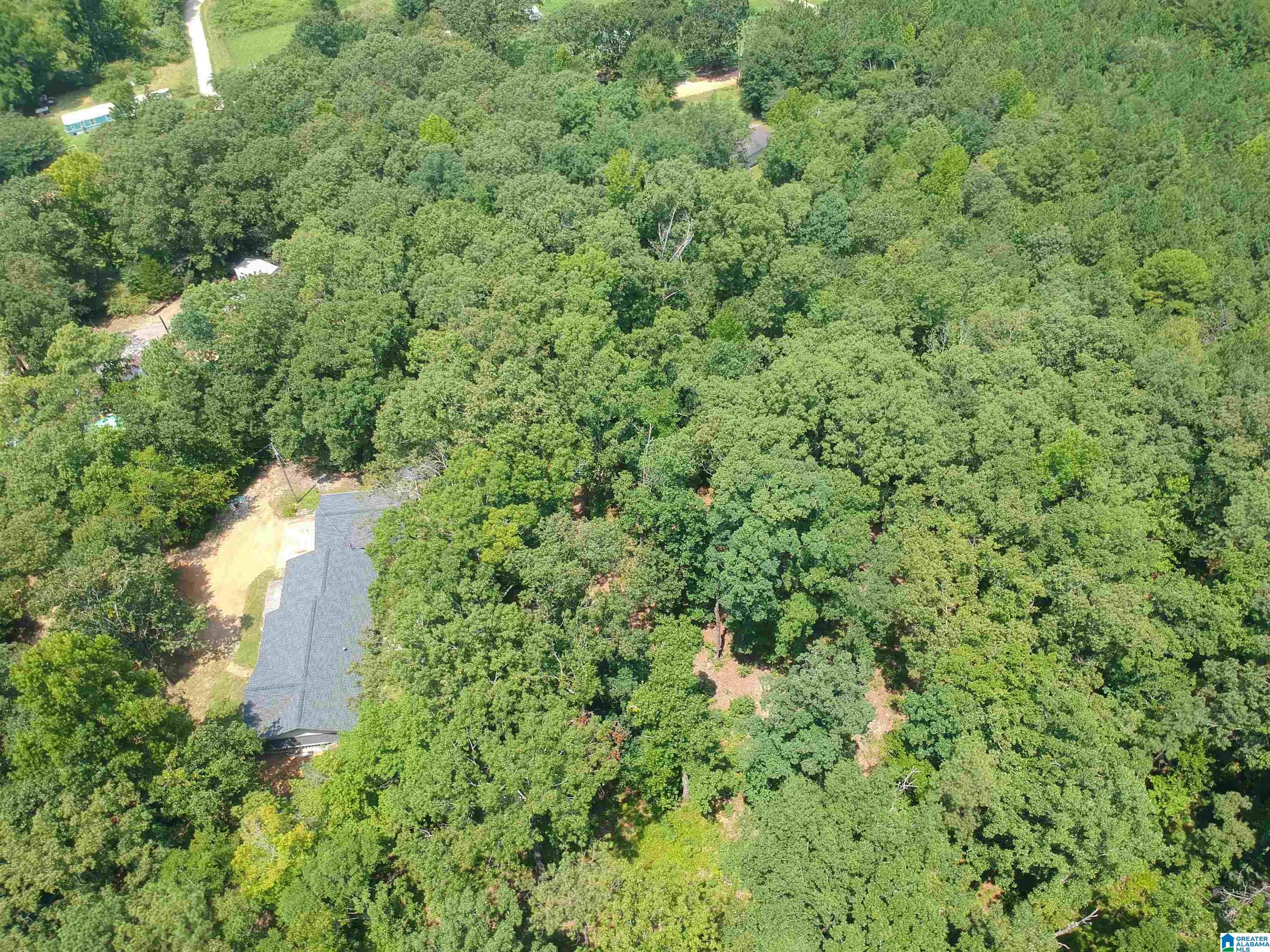 11322 Hen Smith Road Vance, AL 35490 - Photo 49 of 55 Gallery Image 49