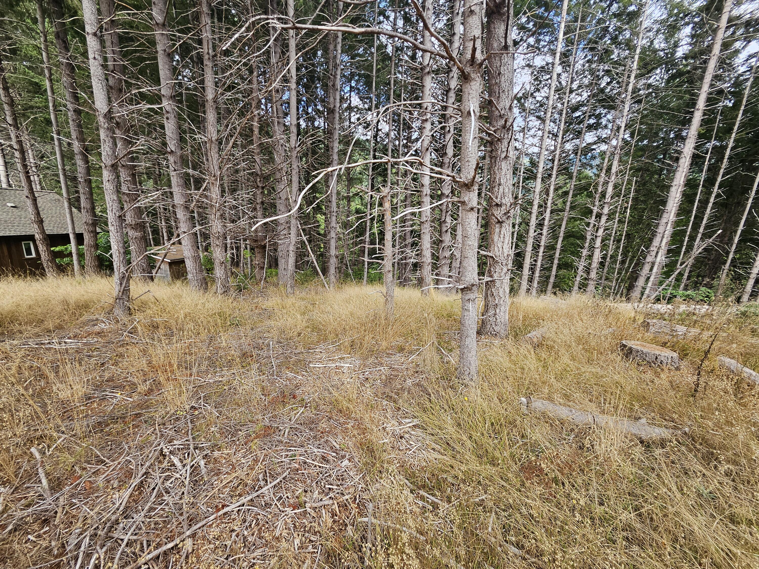 341 Ridge Road Shelter Cove, CA 95589 - Photo 6 of 9 20250928_152254