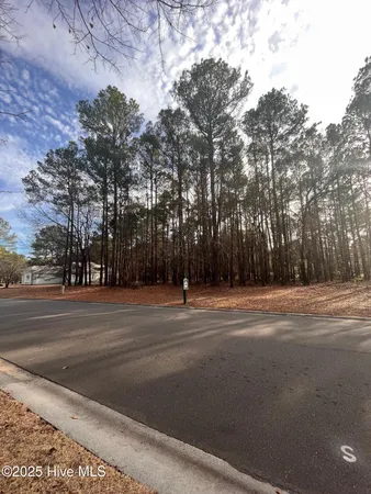 $41,000 | 264 Red Fox Run Drive, Wallace, NC 28466