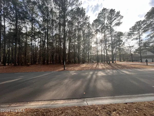 $41,000 | 264 Red Fox Run Drive, Wallace, NC 28466