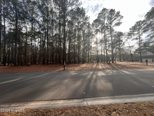 $41,000 | 264 Red Fox Run Drive, Wallace, NC 28466