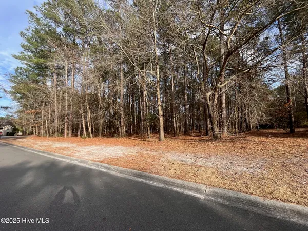 $41,000 | 264 Red Fox Run Drive, Wallace, NC 28466