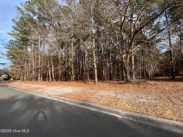 $41,000 | 264 Red Fox Run Drive, Wallace, NC 28466