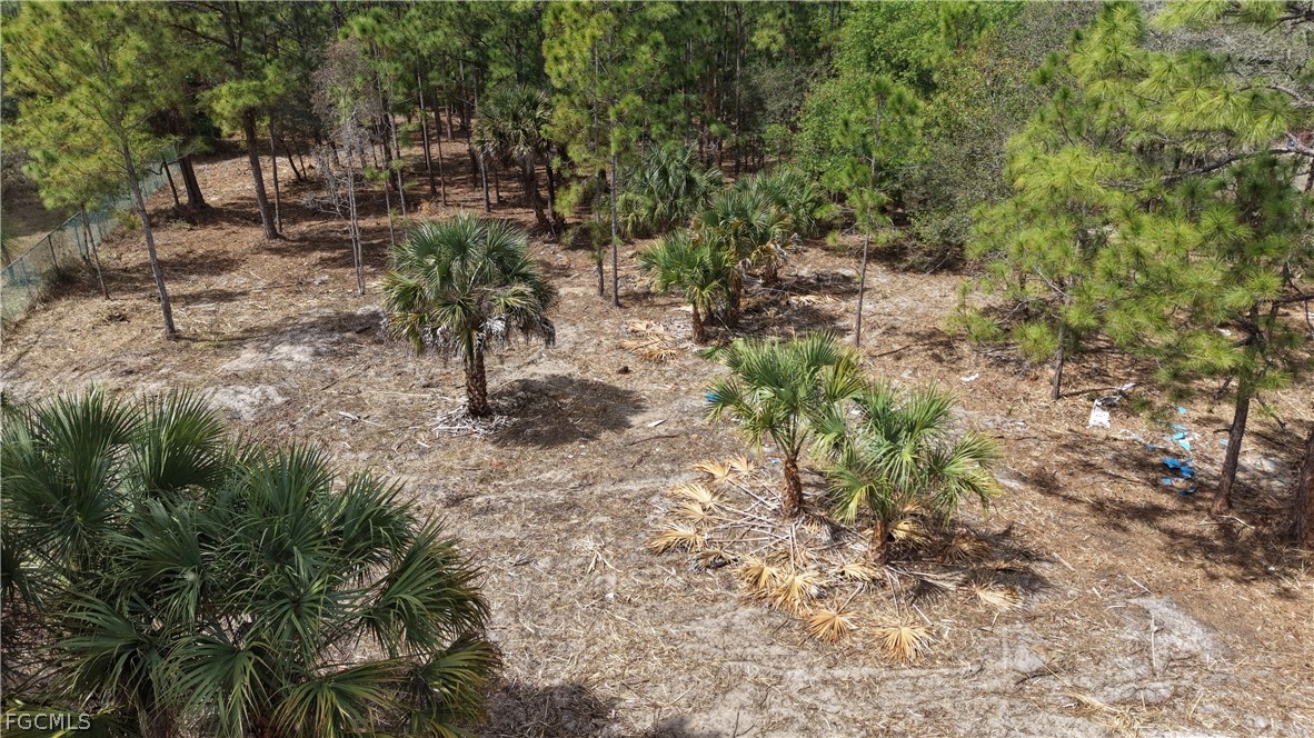 260 South Quebrada Street Clewiston, FL 33440 - Photo 2 of 9 a view of yard
