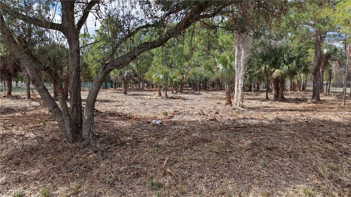 260 South Quebrada Street Clewiston, FL 33440 - Photo 3 of 9 a view of dirt yard with a tree