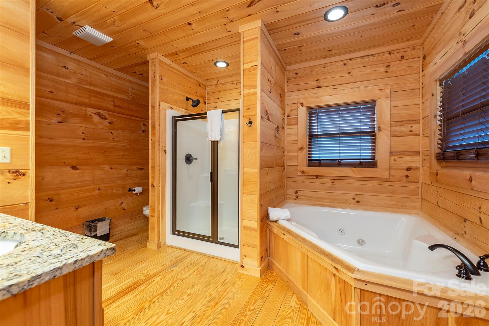 210 South Fork Road Lake Lure, NC 28746 - Photo 15 of 42