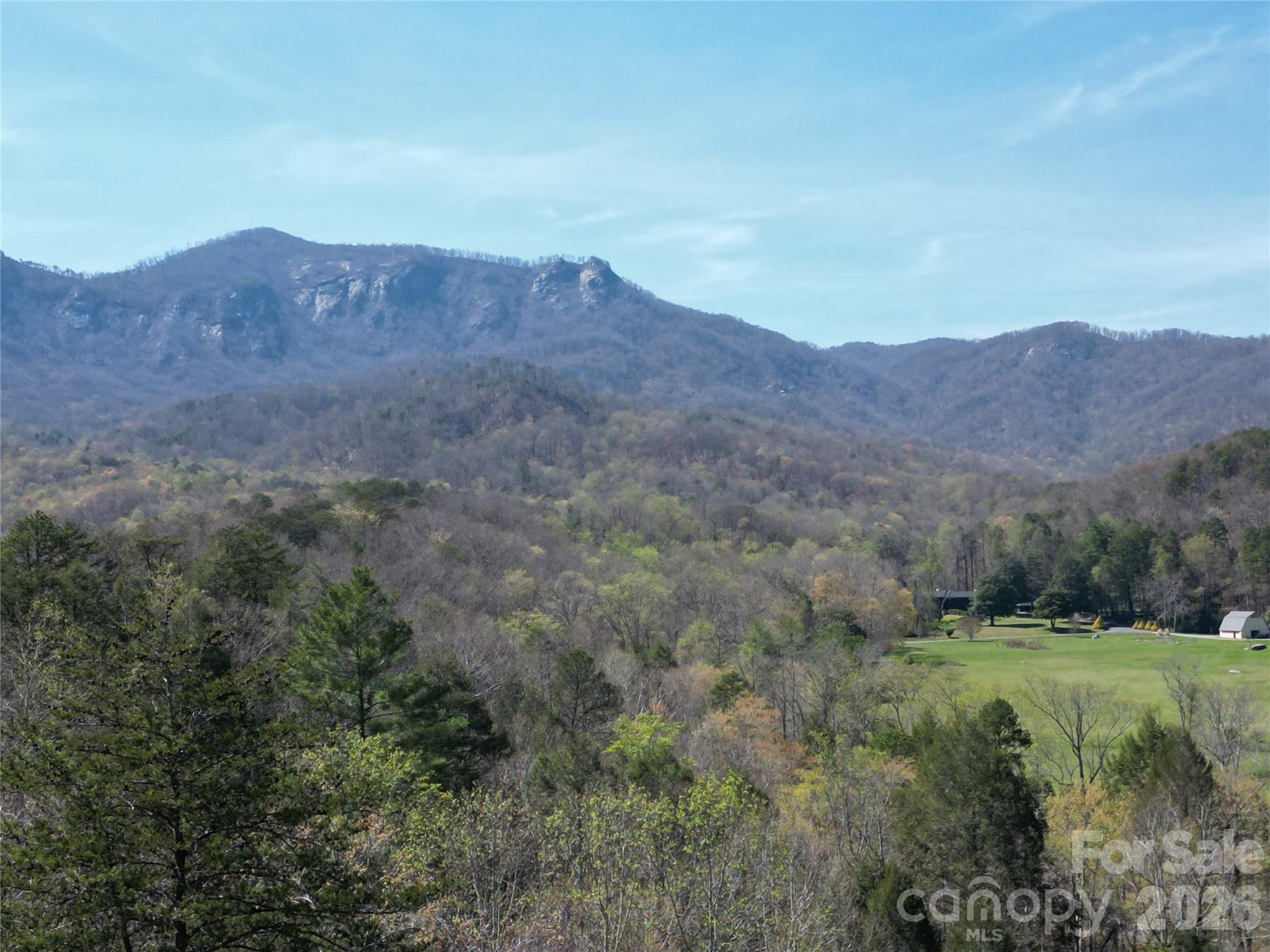 210 South Fork Road Lake Lure, NC 28746 - Photo 5 of 48