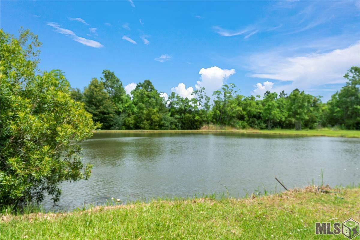 25208 George Settlement Road Springfield, LA 70462 - Photo 19 of 24