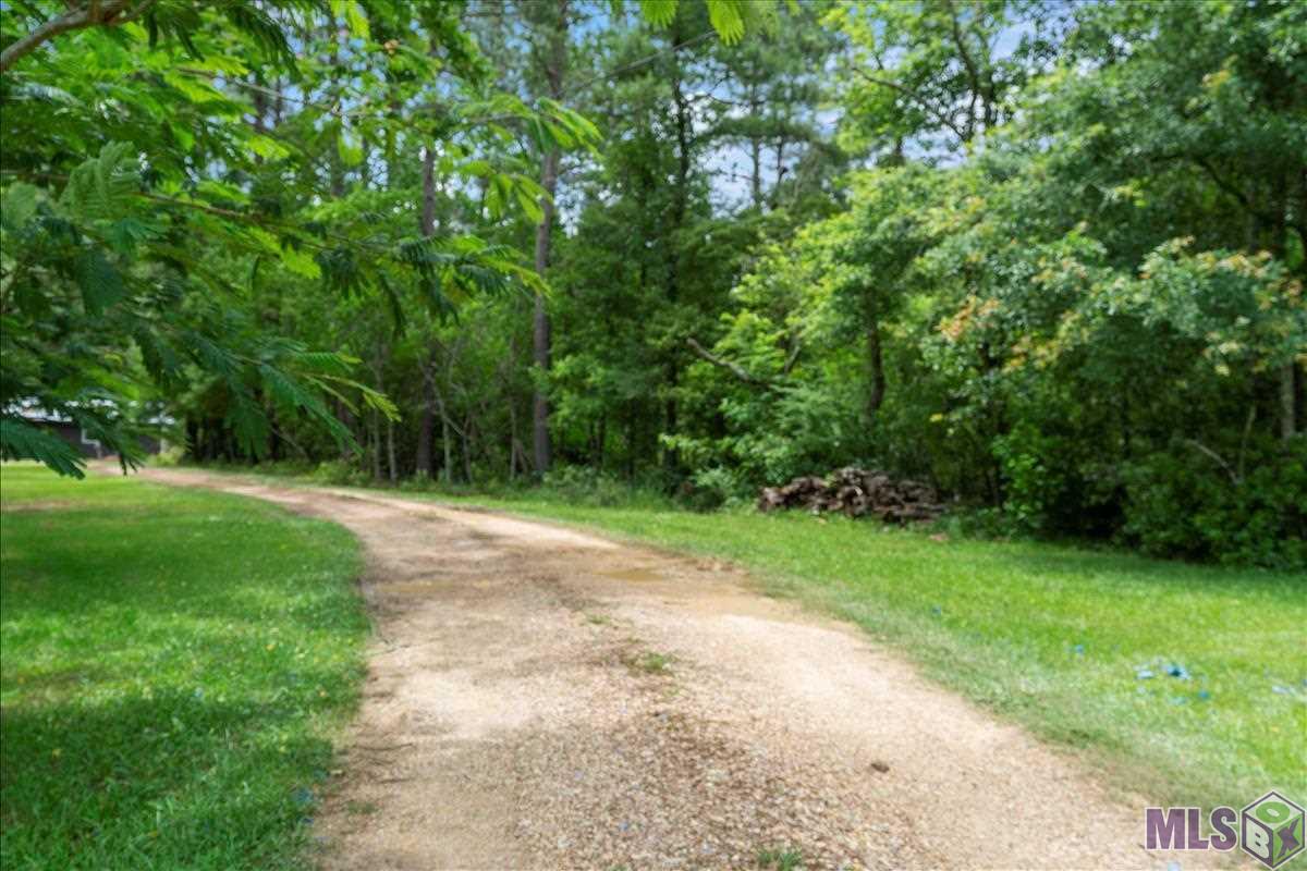25208 George Settlement Road Springfield, LA 70462 - Photo 22 of 24