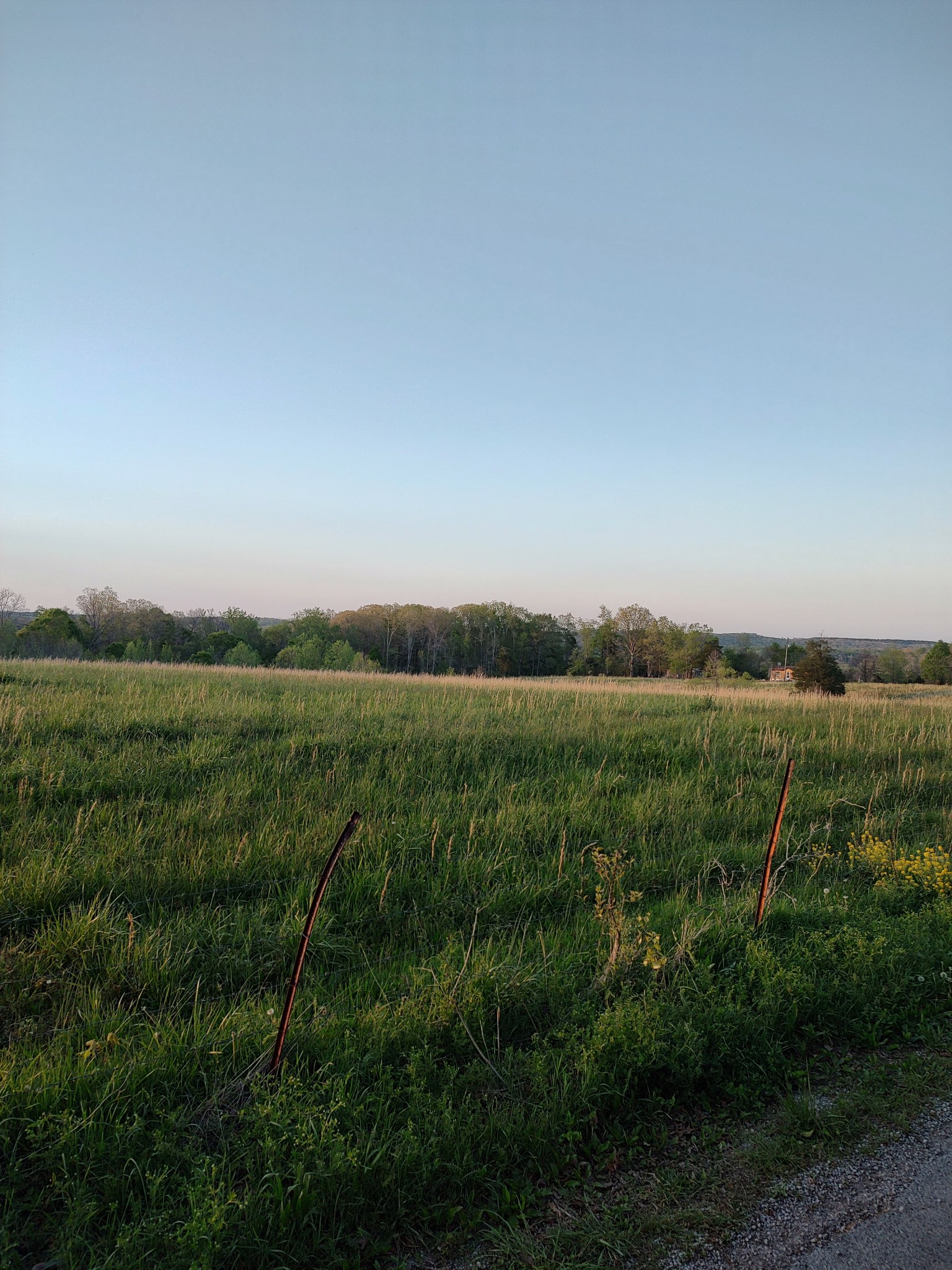 0 Pea Ridge Road Waynesboro, TN 38485 - Photo 3 of 11 Gallery Image 3