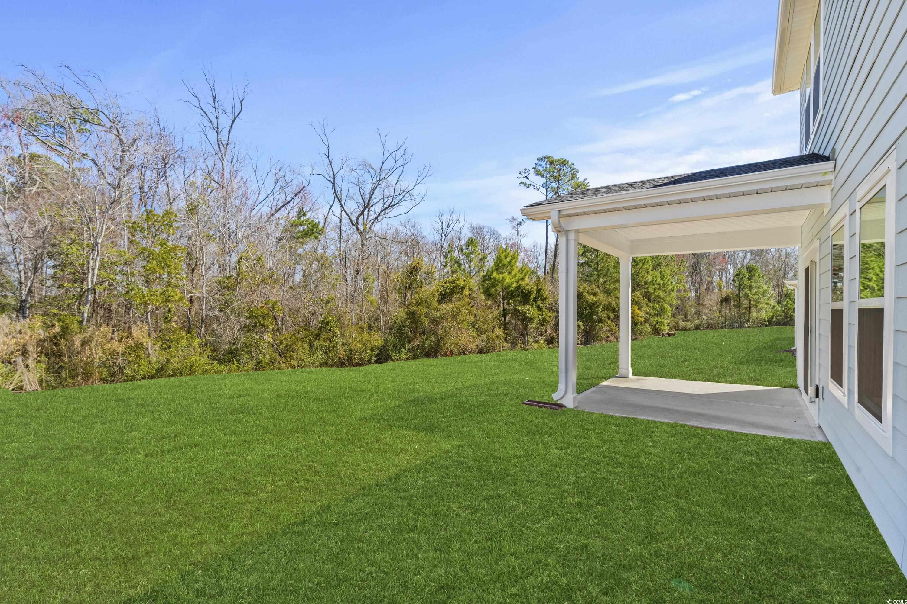 2052 Copper Crk Loop Longs, SC 29568 - Photo 19 of 40 View of yard featuring a patio area