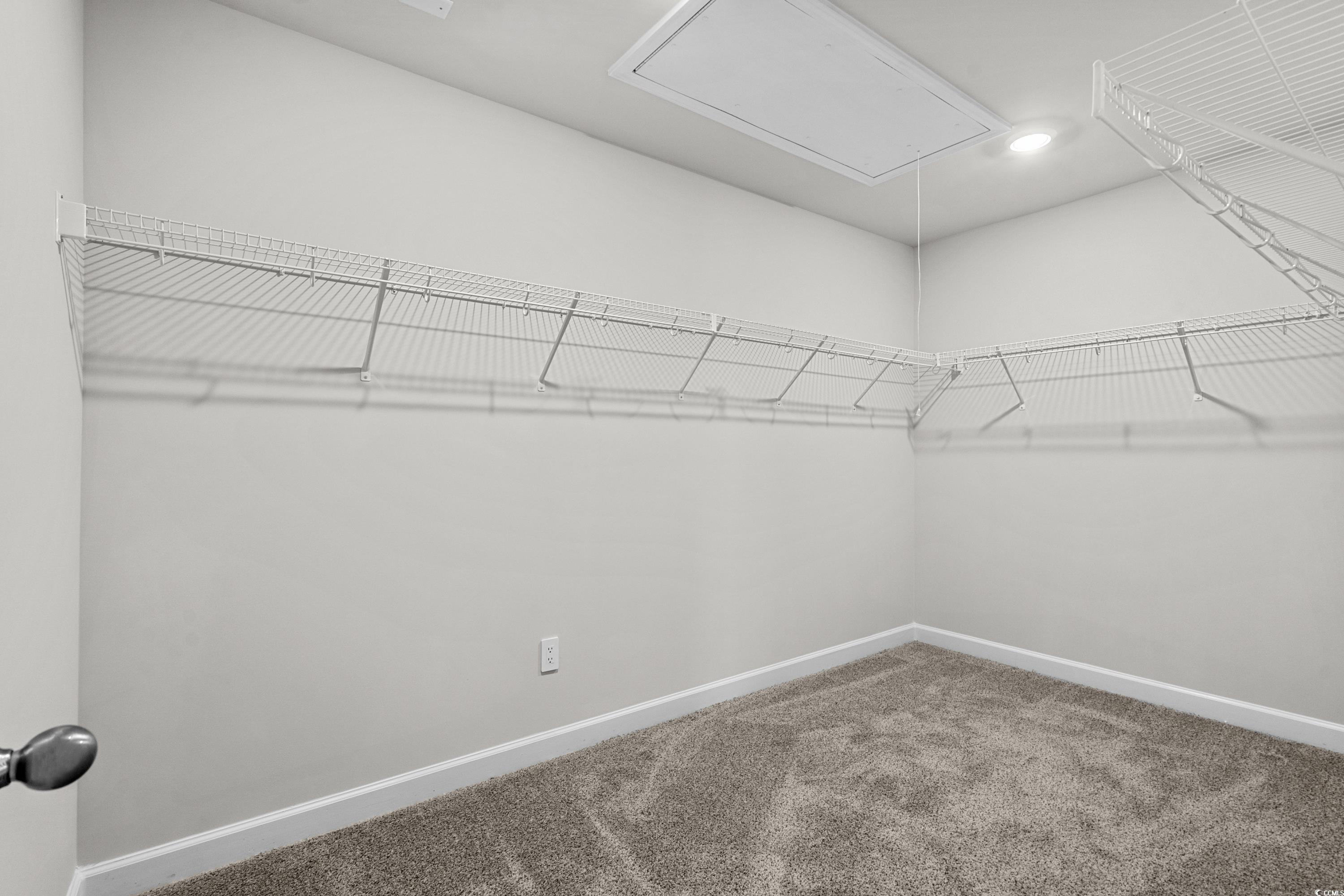 2052 Copper Crk Loop Longs, SC 29568 - Photo 26 of 40 Walk in closet with attic access and carpet