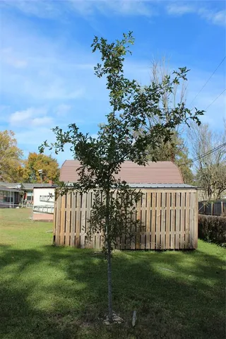 a view of a backyard