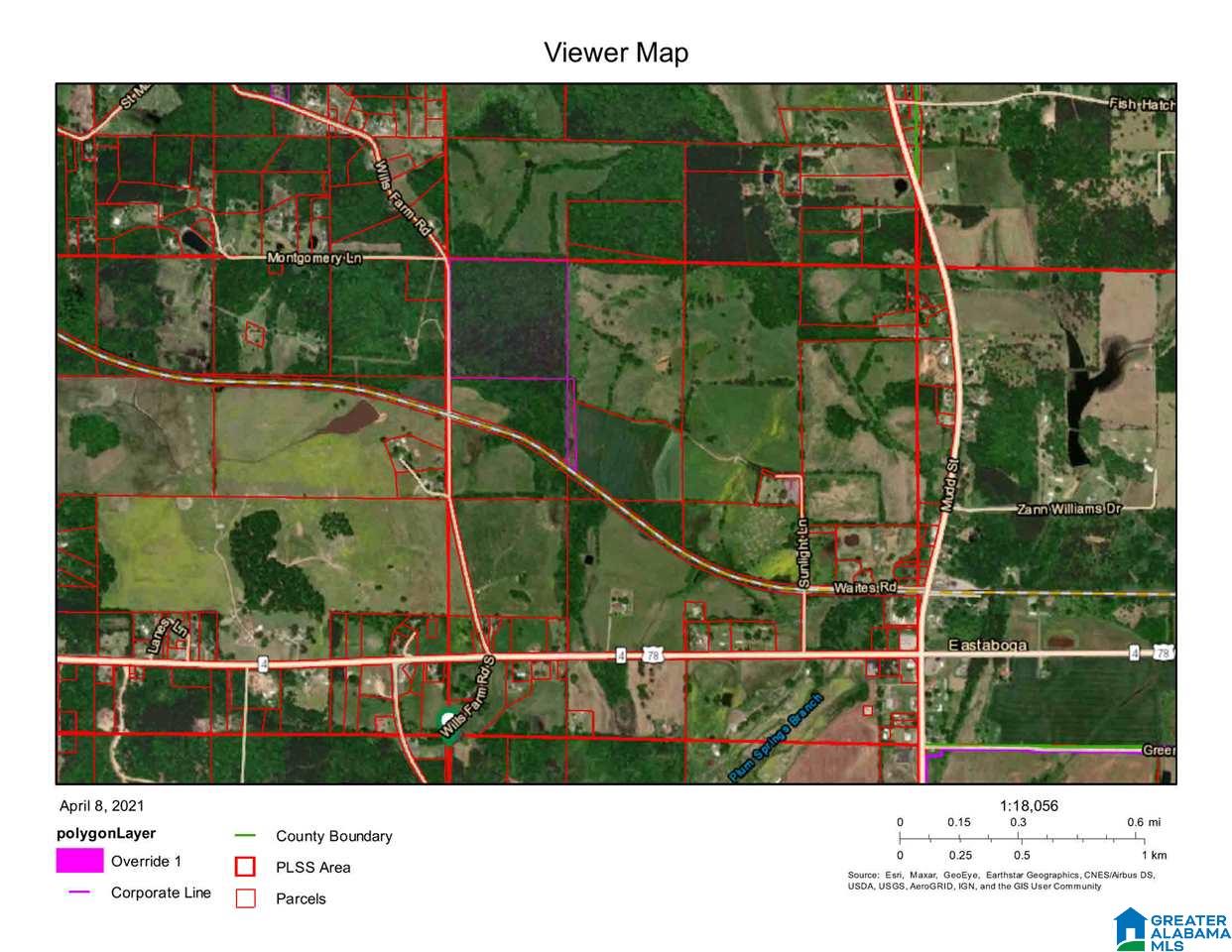 43-acres Wills Farm Road, Unit 43 ACRES Lincoln, AL 35096 - Photo 18 of 19