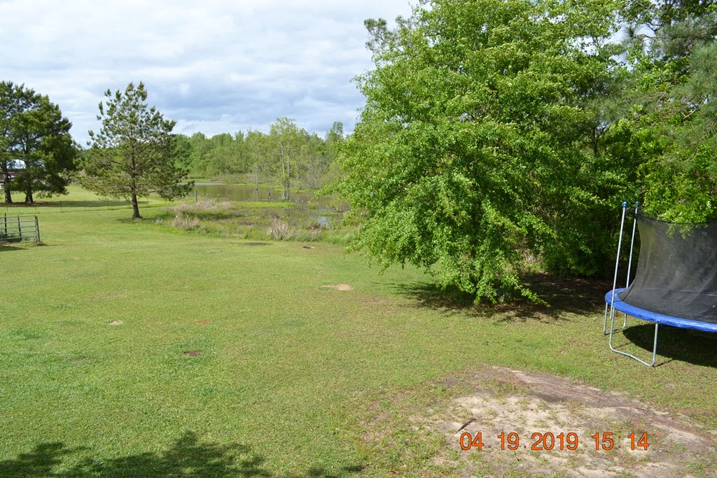 175 Kirkland Road Seale, AL 36875 - Photo 26 of 37 a view of an outdoor space and yard