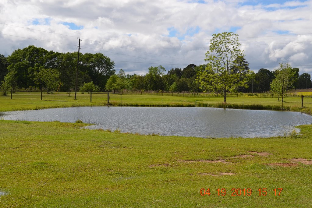 175 Kirkland Road Seale, AL 36875 - Photo 32 of 37 a view of a lake with houses in the background