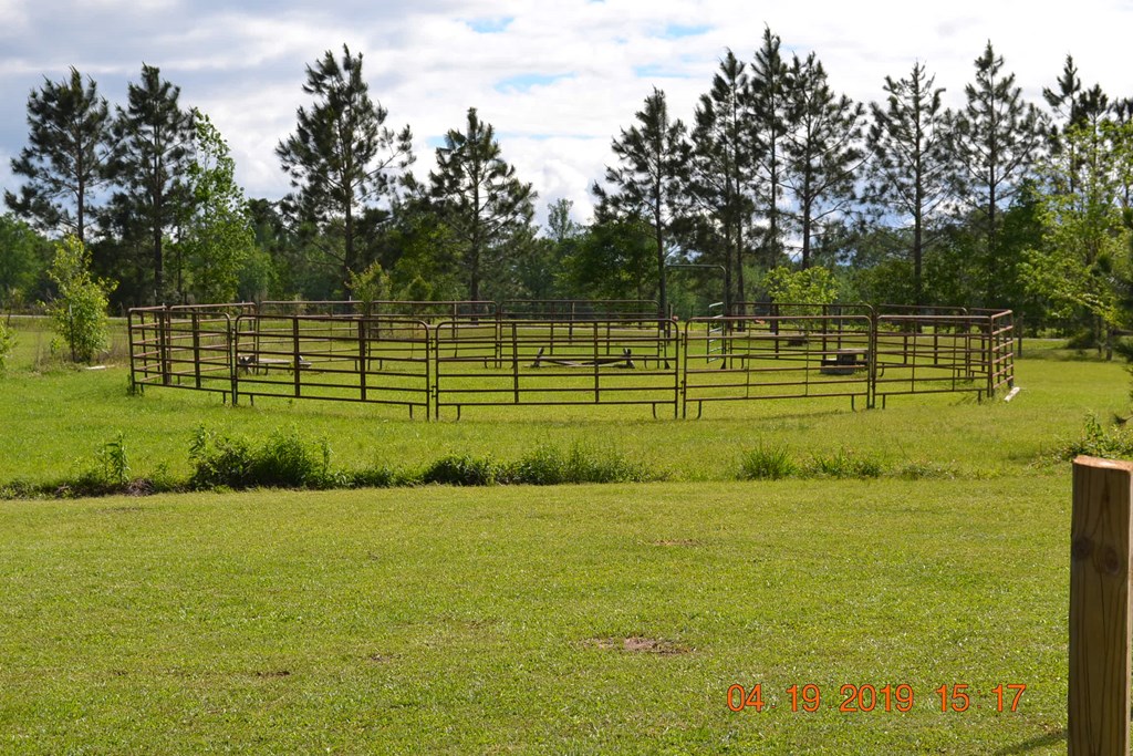 175 Kirkland Road Seale, AL 36875 - Photo 33 of 37 a view of a park with large trees