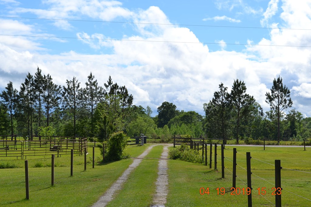 175 Kirkland Road Seale, AL 36875 - Photo 35 of 37 a view of a golf course with a garden