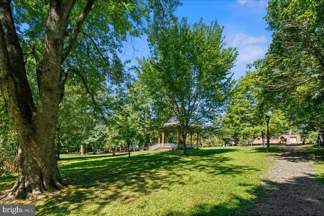 a view of a grassy field with trees