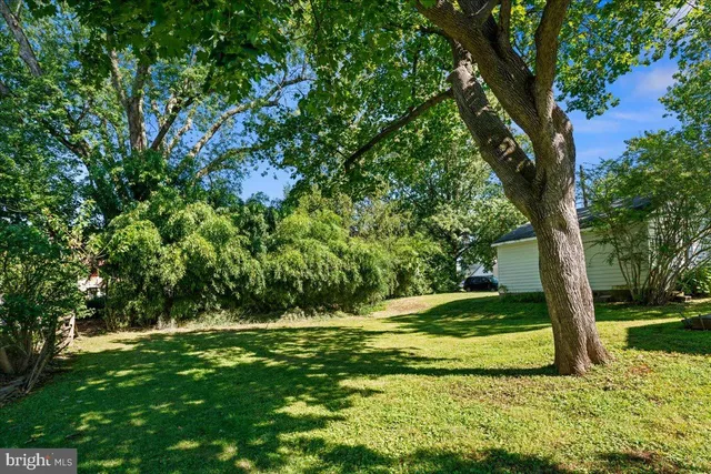 a view of a backyard with a tree