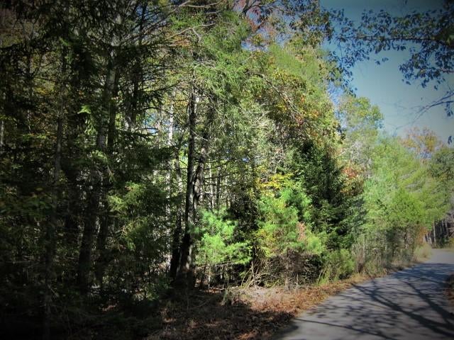 14 Wallace Hollow Road Lindside, WV 24951 - Photo 67 of 89 Gallery Image 67
