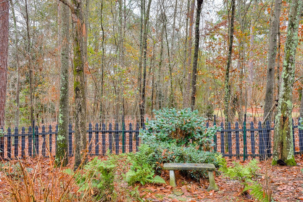 408 Forest Ridge Drive Aiken, SC 29803 - Photo 39 of 41 Gallery Image 39