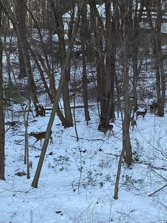 $1,649,000 | 781 Strawberry Hill Road, Concord, MA 01742