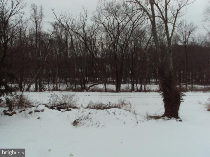 2046 Durham Road New Hope, PA 18938 - Photo 18 of 19 View in Back