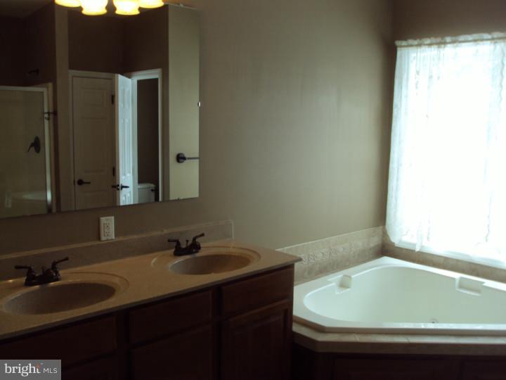 2046 Durham Road New Hope, PA 18938 - Photo 9 of 19 Master Bathroom