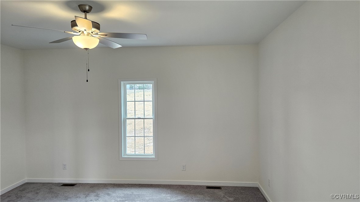 1960 East Courthouse Road Blackstone, VA 23824 - Photo 14 of 29 Gallery Image 14
