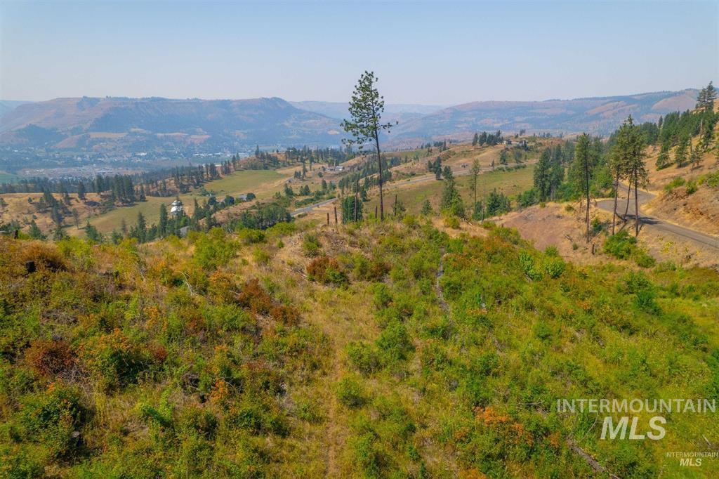 Tbd Lot #2 Beaverslide Road Kamiah, ID 83536 - Photo 10 of 18 Gallery Image 10
