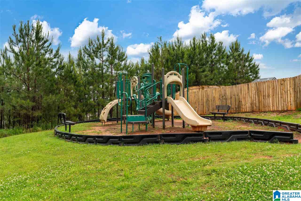 650 Briar Ridge Circle Odenville, AL 35120 - Photo 21 of 21